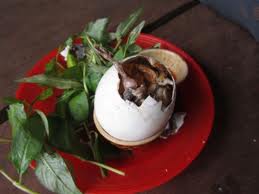 Oeuf fécondé