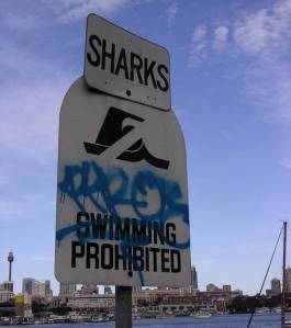 Requins/Baignade interdite