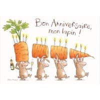 carte-valerie-michaut-bon-anniversaire-mon-lapin.jpg