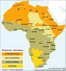 RTEmagicC_langues_africaines1.jpg