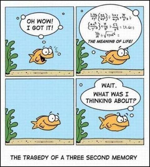 The meaning of life/ Le sens de la vie