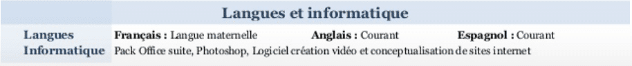 cv compétences europass langues.png