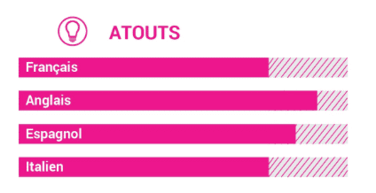 langues cv compétences.png