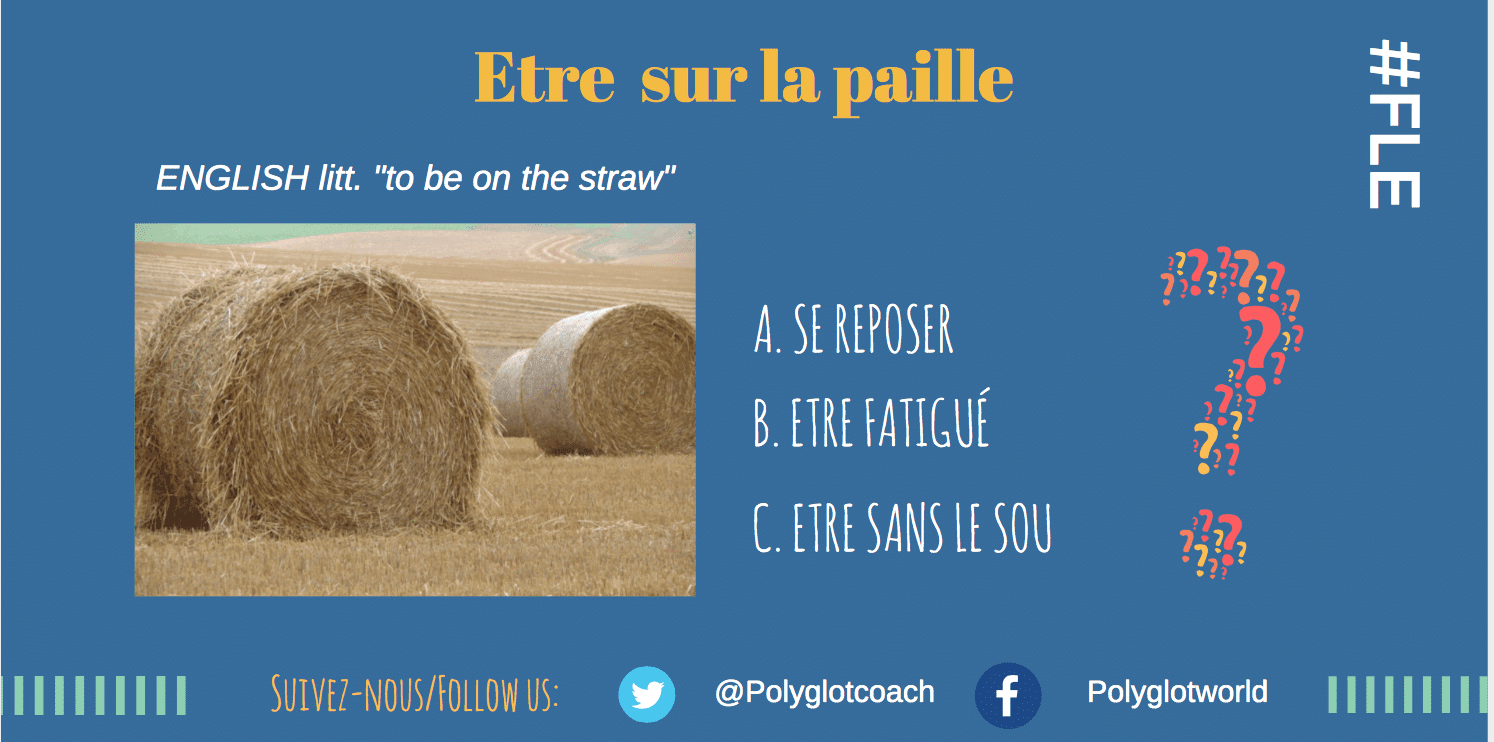 être sur la paille polyglotcoach polyglotworld.png