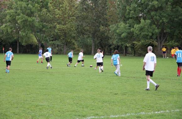 img-sur-les-terrains-dijonnais-1444493115_580_380_center_articles-209815.jpg