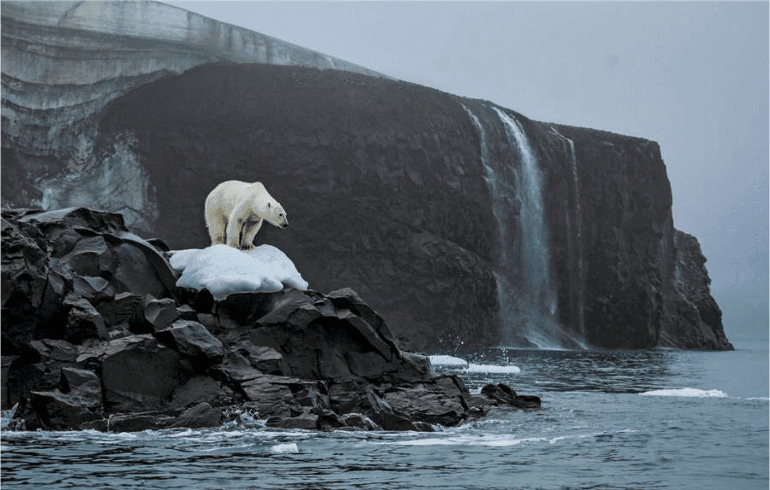 réchauffement climatique français argumenter.png