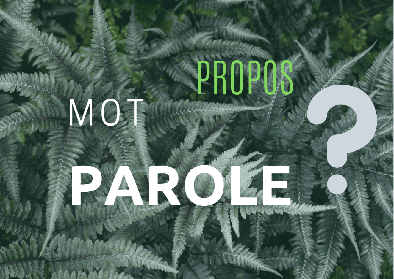 mot parole ou propos.png