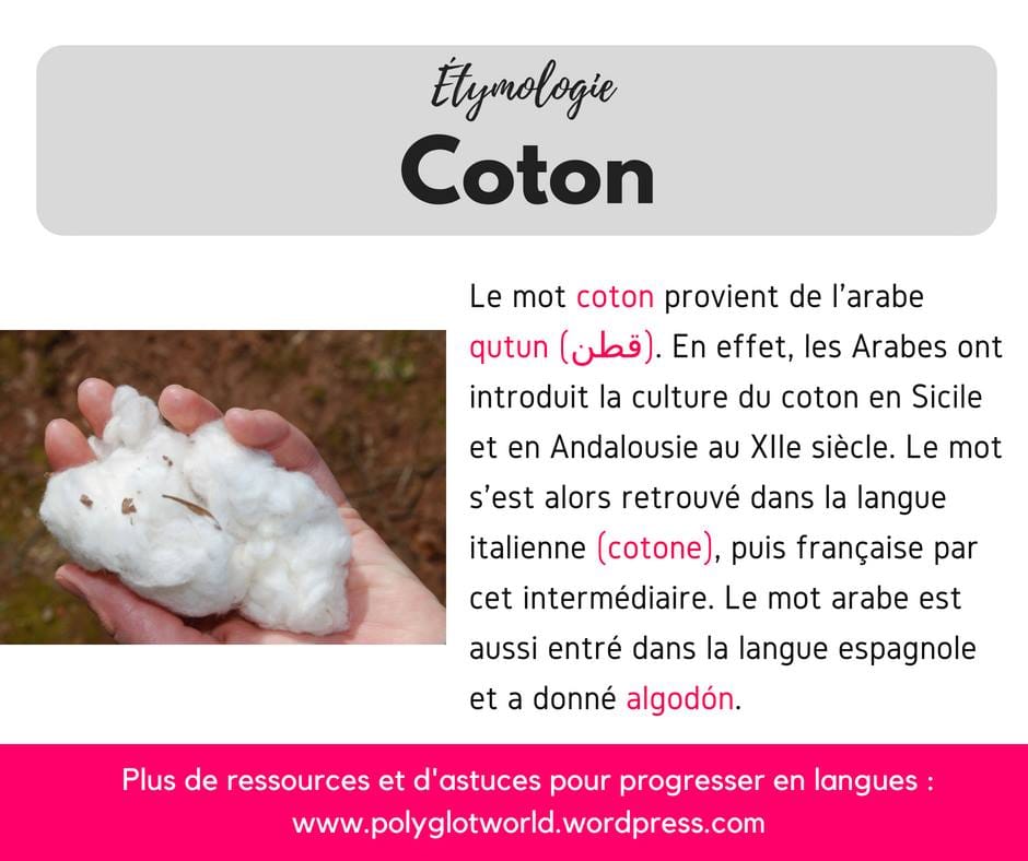 Étymologie mot 8