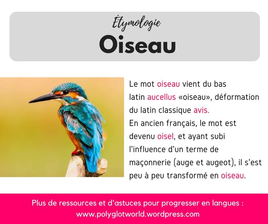 Étymologie mot 12