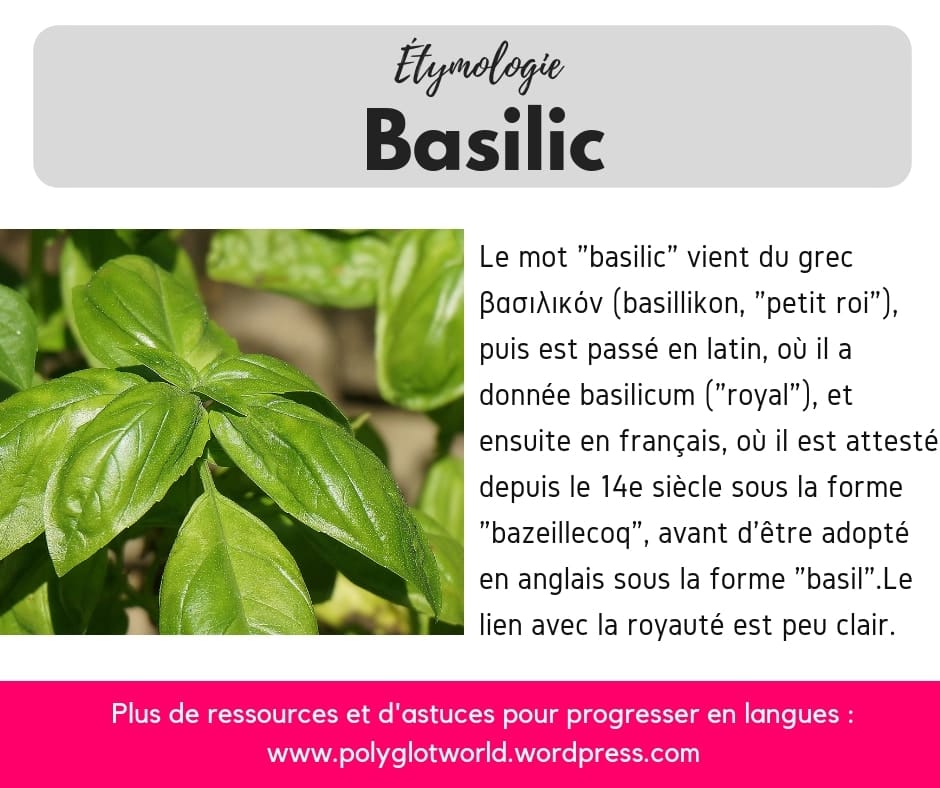 Étymologie mot 30