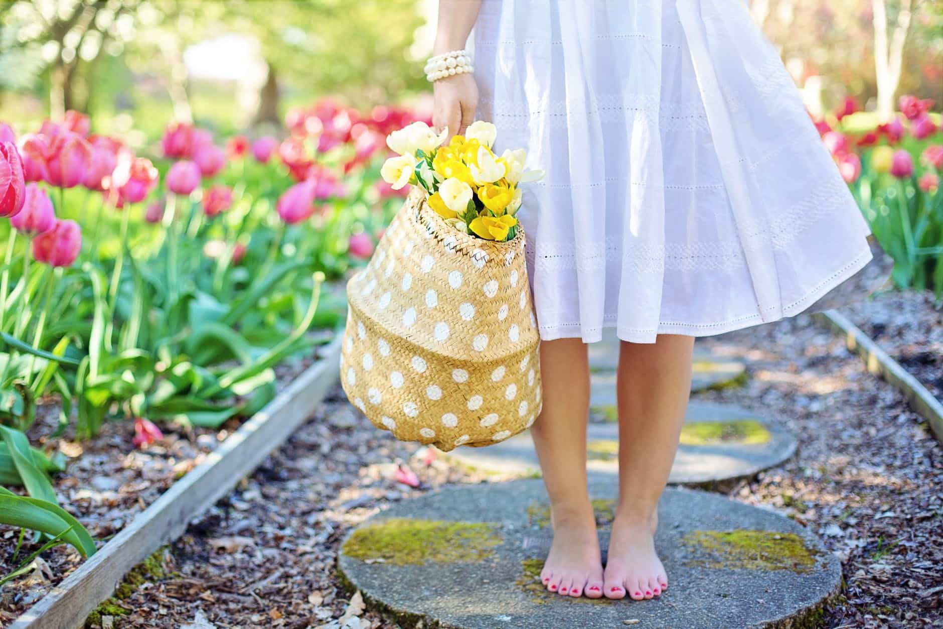 Vocabulaire du français : 24 expressions françaises autour du jardin (partie 2)