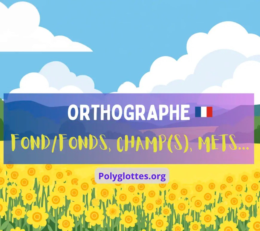 Orthographe en français : fonds, champs, puits, on met un "s" ou pas ?