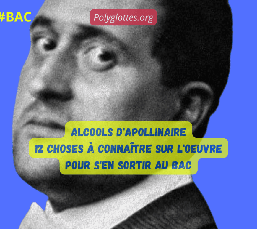 l'essentiel à savoir sur alcools d'apollinaire avec quiz
