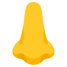 genre des noms en espagnol et en français nez nariz nose