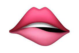 genre des noms en espagnol et en français labio lip lèvre