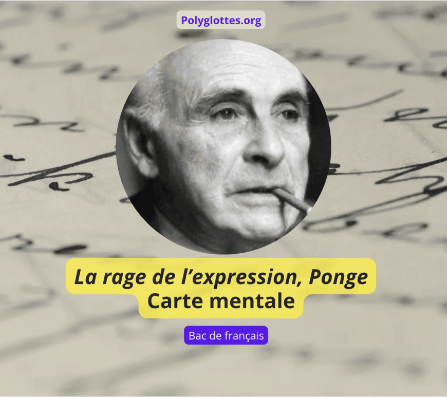 ponge la rage de l'expression carte mentale se préparer au bac 2026