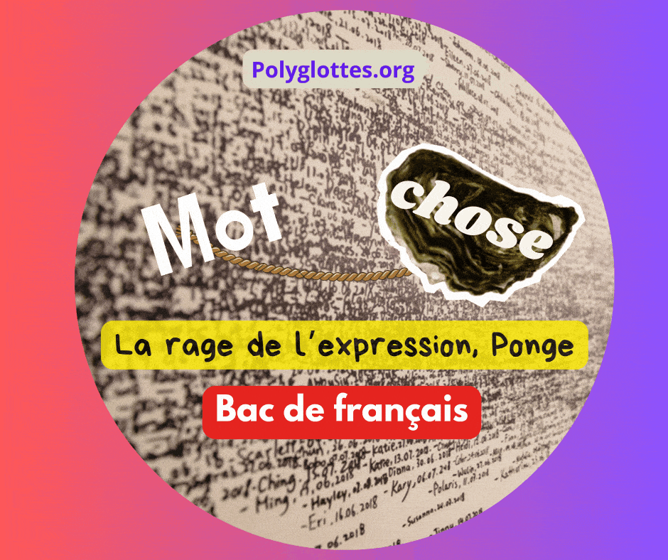 Ponge écrit-il pour montrer les lacunes du langage courant ou pour créer un autre langage ?- Bac de français
