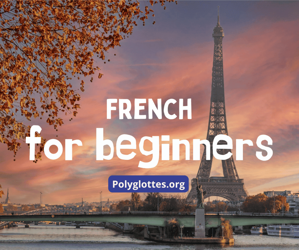 French learning program for beginner